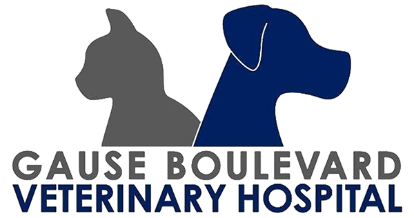 Gause Boulevard Veterinary Hospital